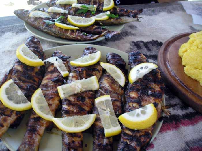 yamy - 9458721389059862934971188980861n.jpg